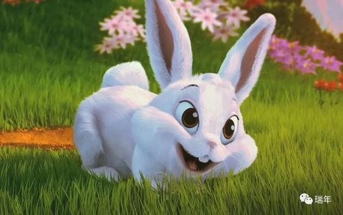 娱乐吃瓜小兔子视频下载,揭秘娱乐圈幕后故事 第3张 娱乐吃瓜小兔子视频下载,揭秘娱乐圈幕后故事 第3张